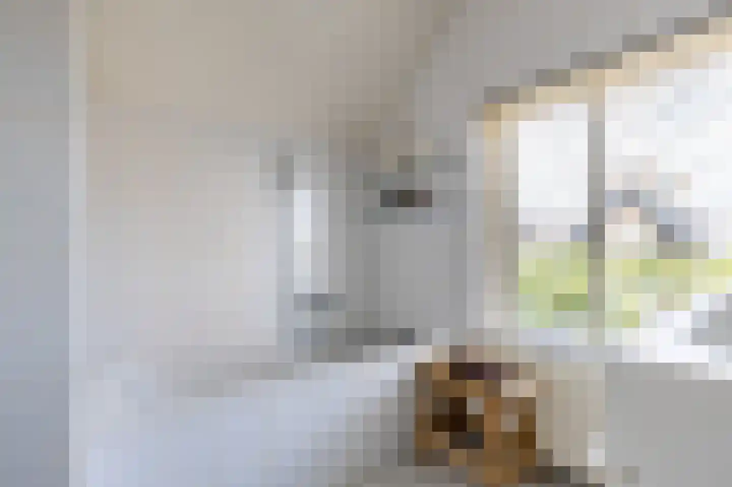 Kerkstraat 6 Hank thumbnail 31
