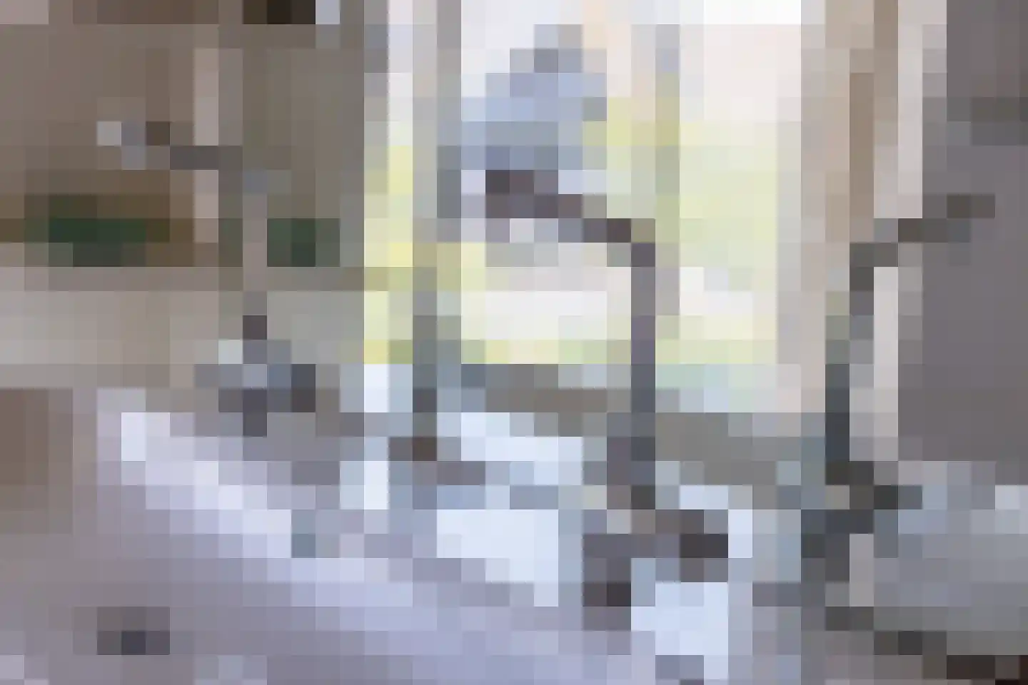 Kerkstraat 6 Hank thumbnail 33