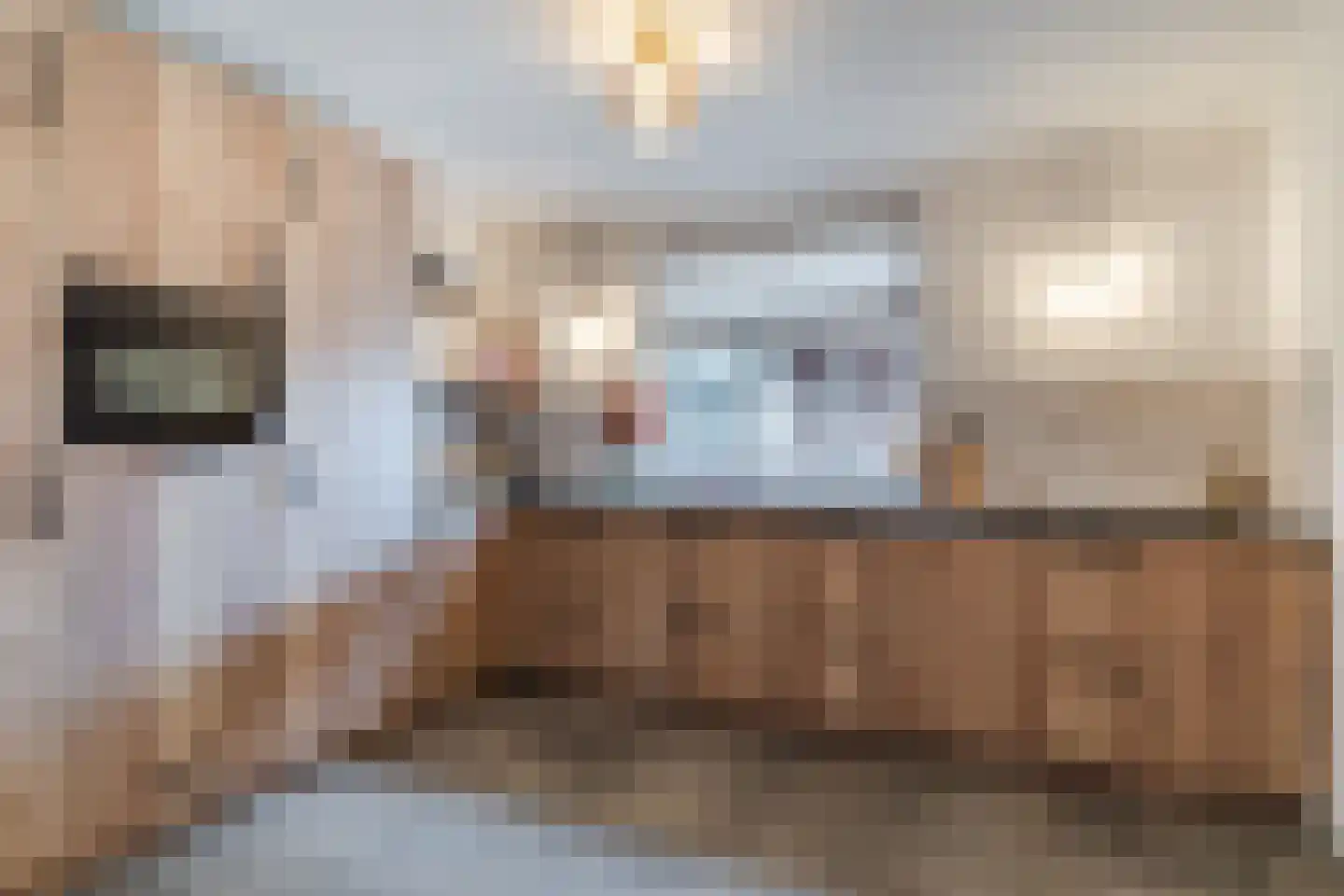 Kerkstraat 6 Hooge Mierde thumbnail 18