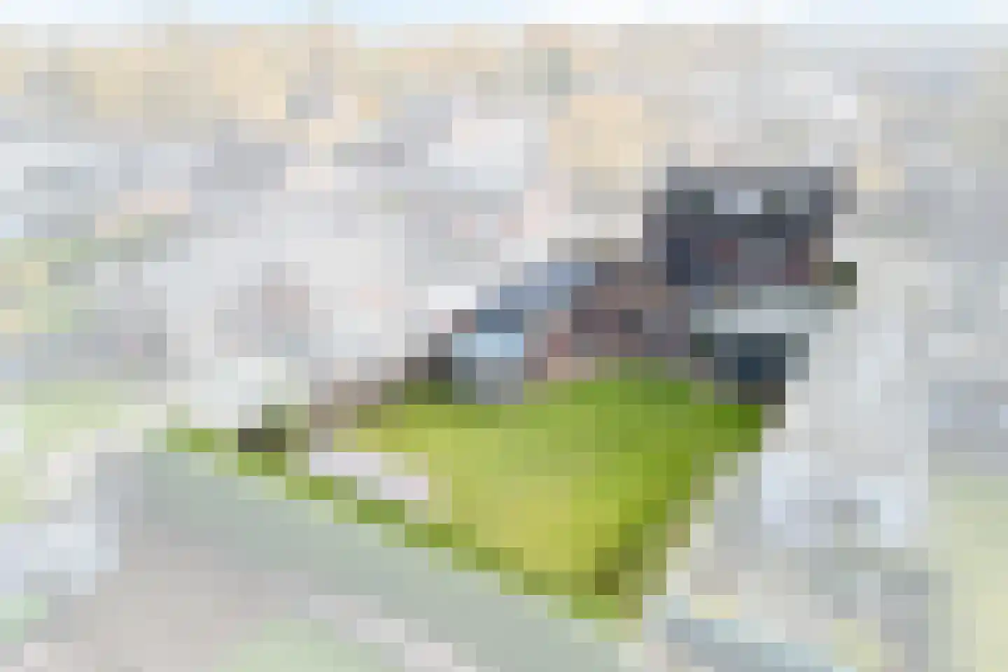 Kerkstraat 6 Hooge Mierde thumbnail 36