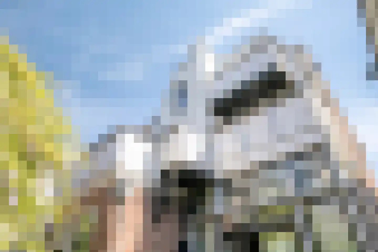 Kerkstraat 6 IJsselstein thumbnail 54
