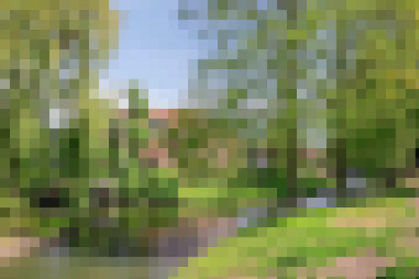 Kerkstraat 6 IJsselstein thumbnail 61