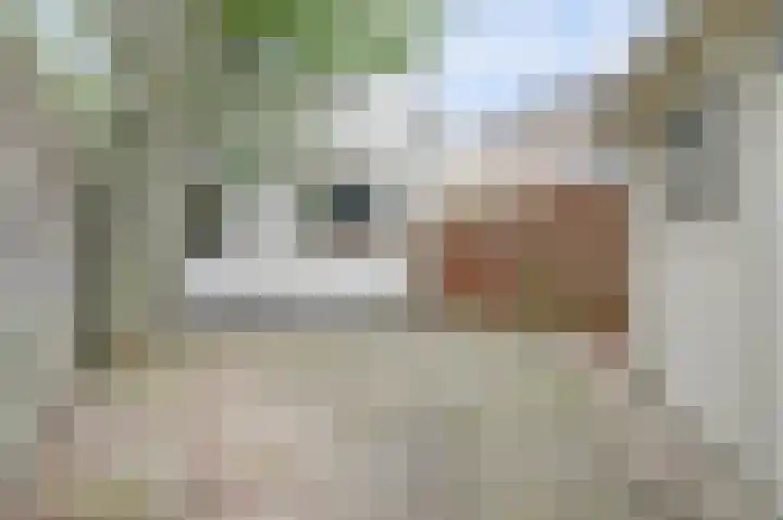 Kerkstraat 6 Kerkdriel thumbnail 24