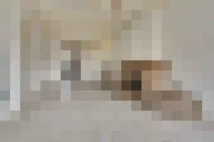 Kerkstraat 6 Kerkdriel thumbnail 4