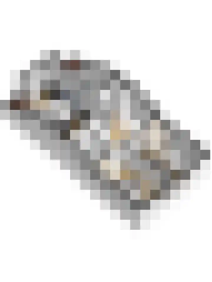 Kerkstraat 6 Kerkdriel thumbnail 41