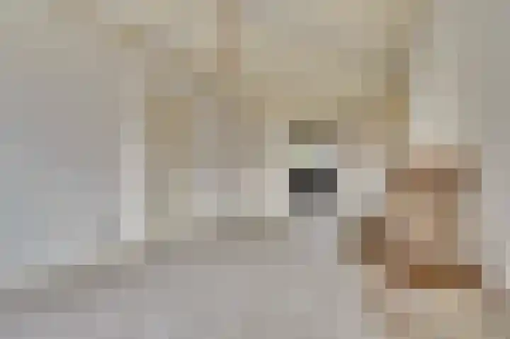 Kerkstraat 6 Kerkdriel thumbnail 5