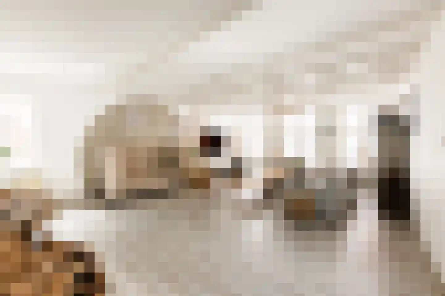 Kerkstraat 6 Makkum thumbnail 20