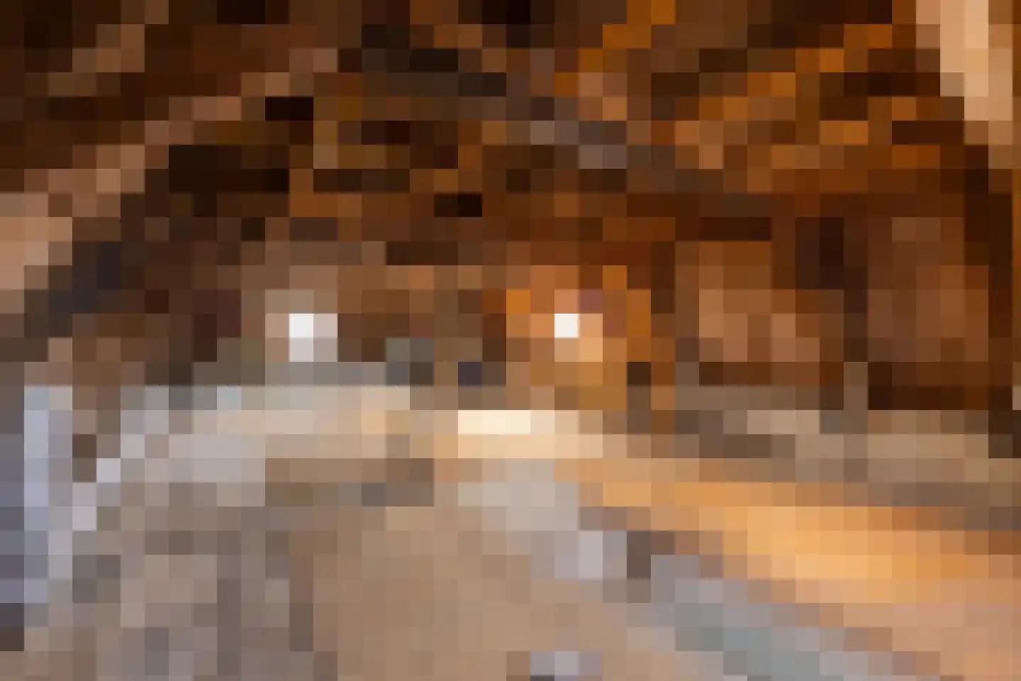 Kerkstraat 6 Makkum thumbnail 24