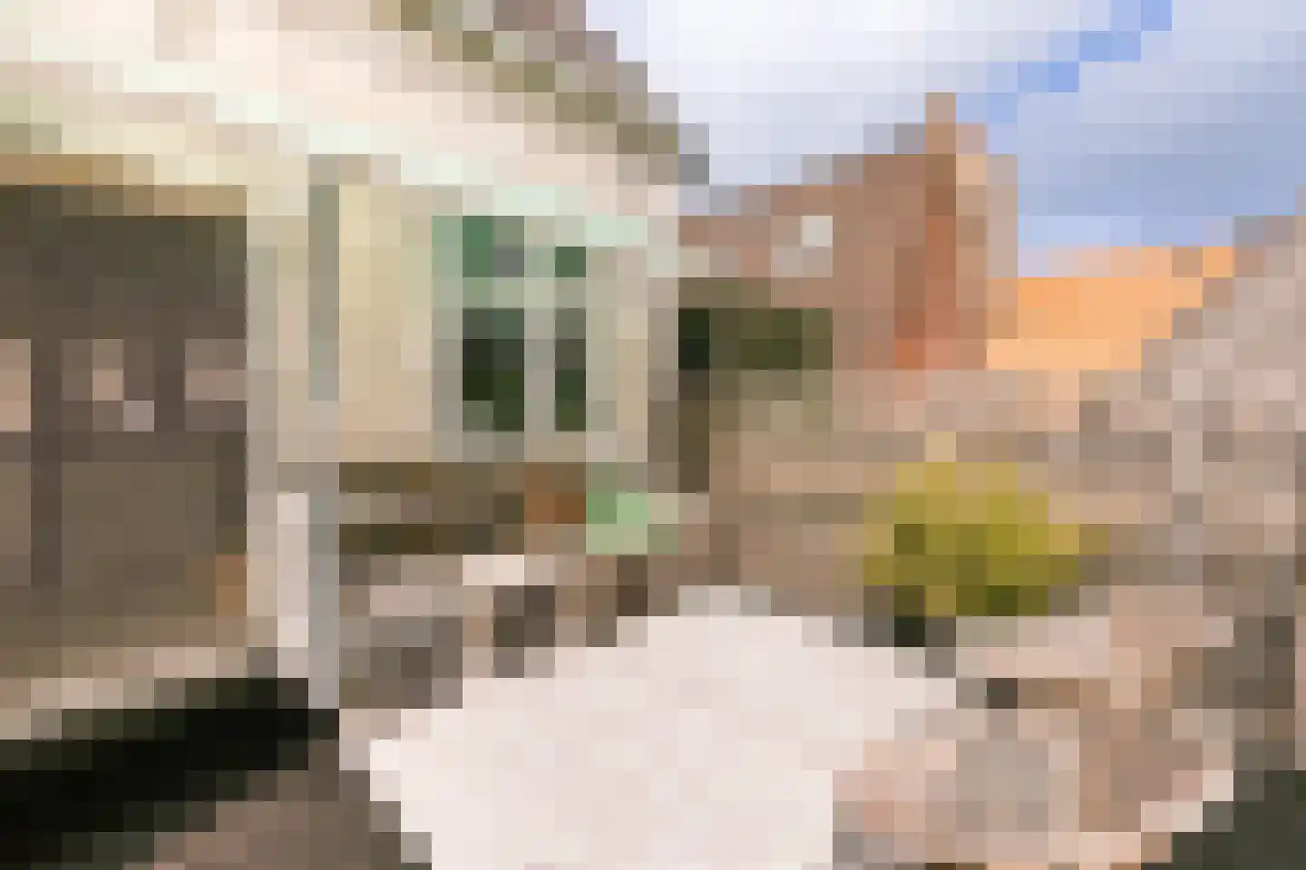 Kerkstraat 6 Makkum thumbnail 27