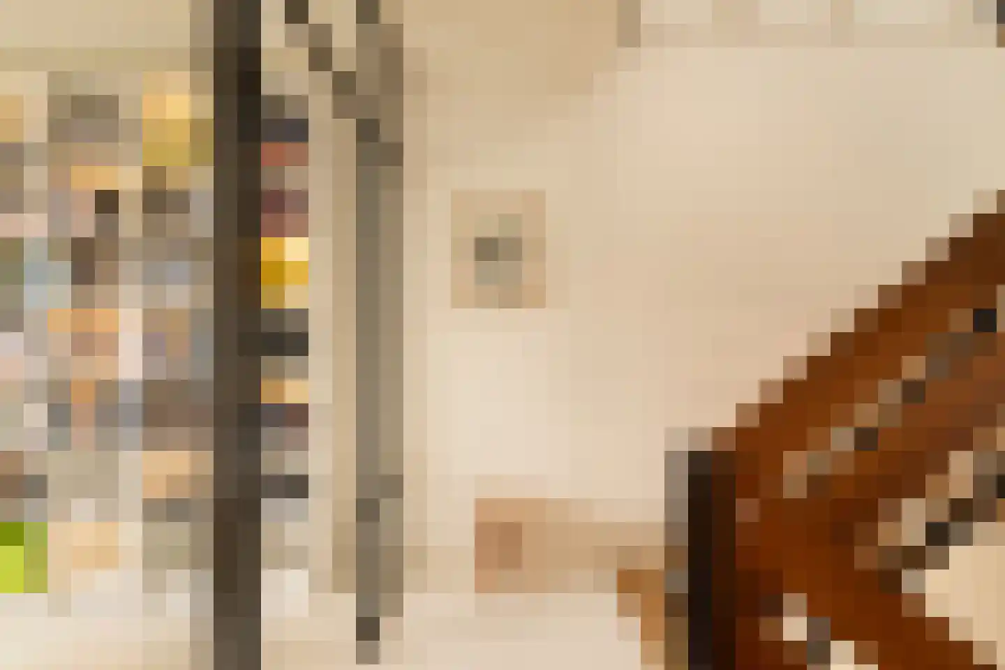 Kerkstraat 6 Muiden thumbnail 18