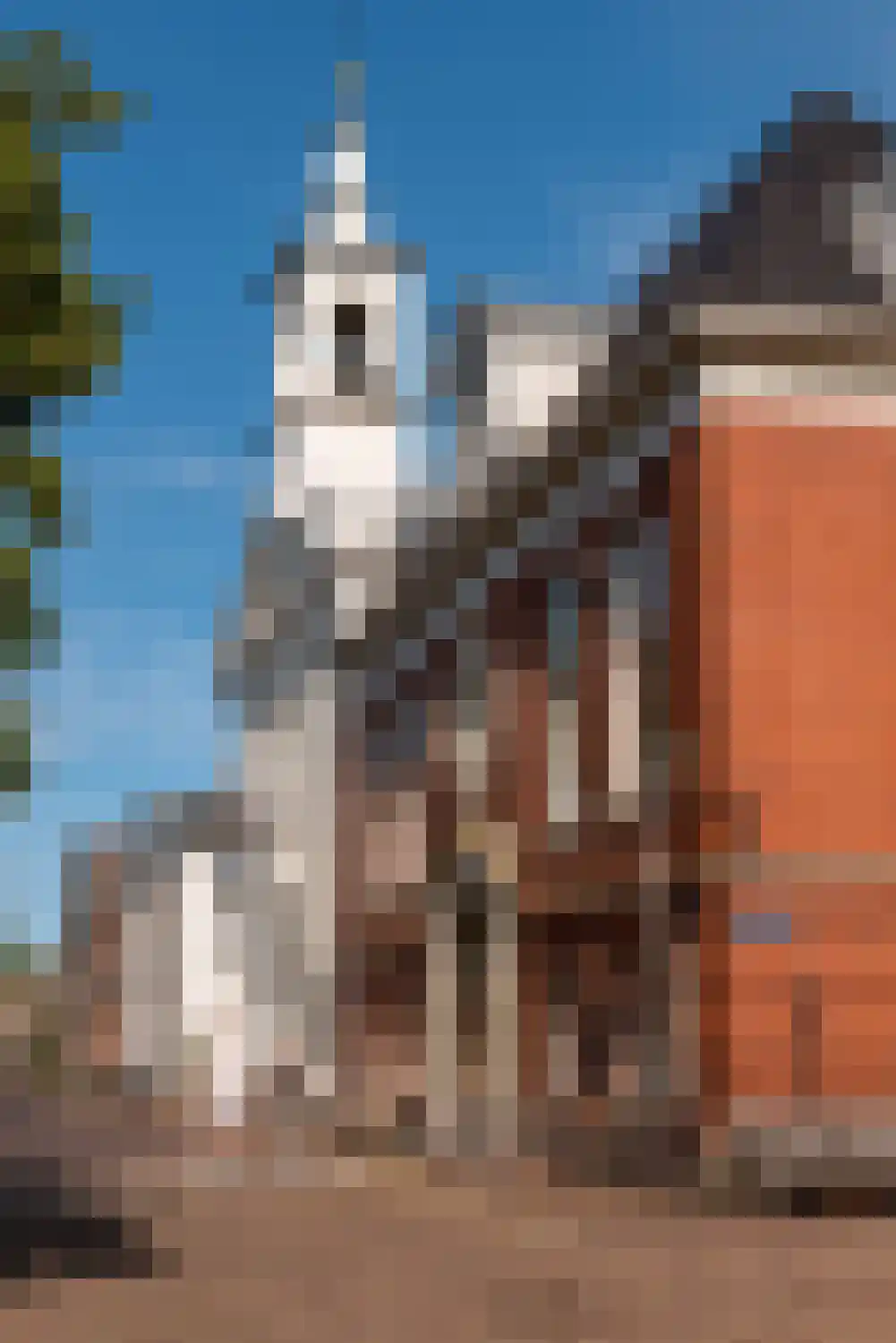 Kerkstraat 6 Muiden thumbnail 38