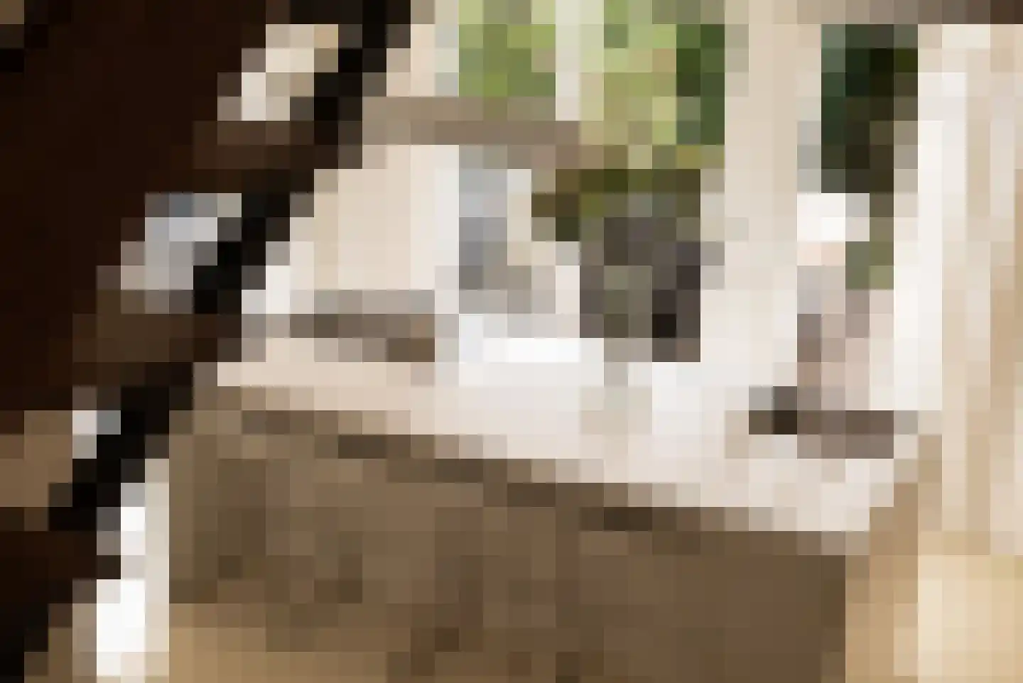 Kerkstraat 6 Muiden thumbnail 9