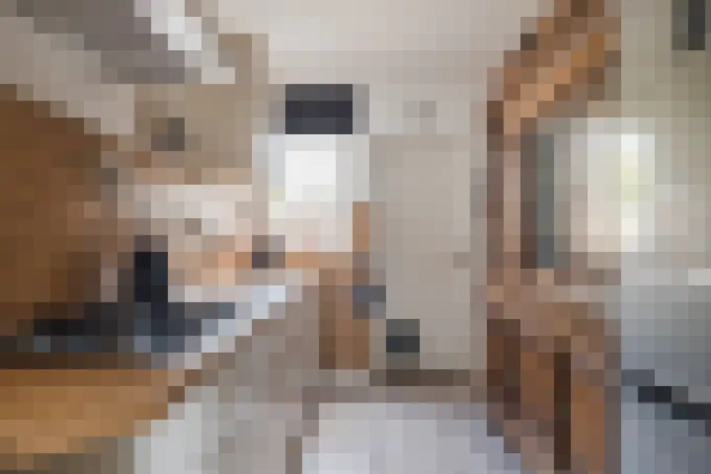 Kerkstraat 6 Munnekezijl thumbnail 17