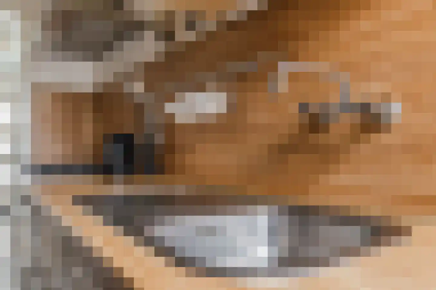 Kerkstraat 6 Munnekezijl thumbnail 19