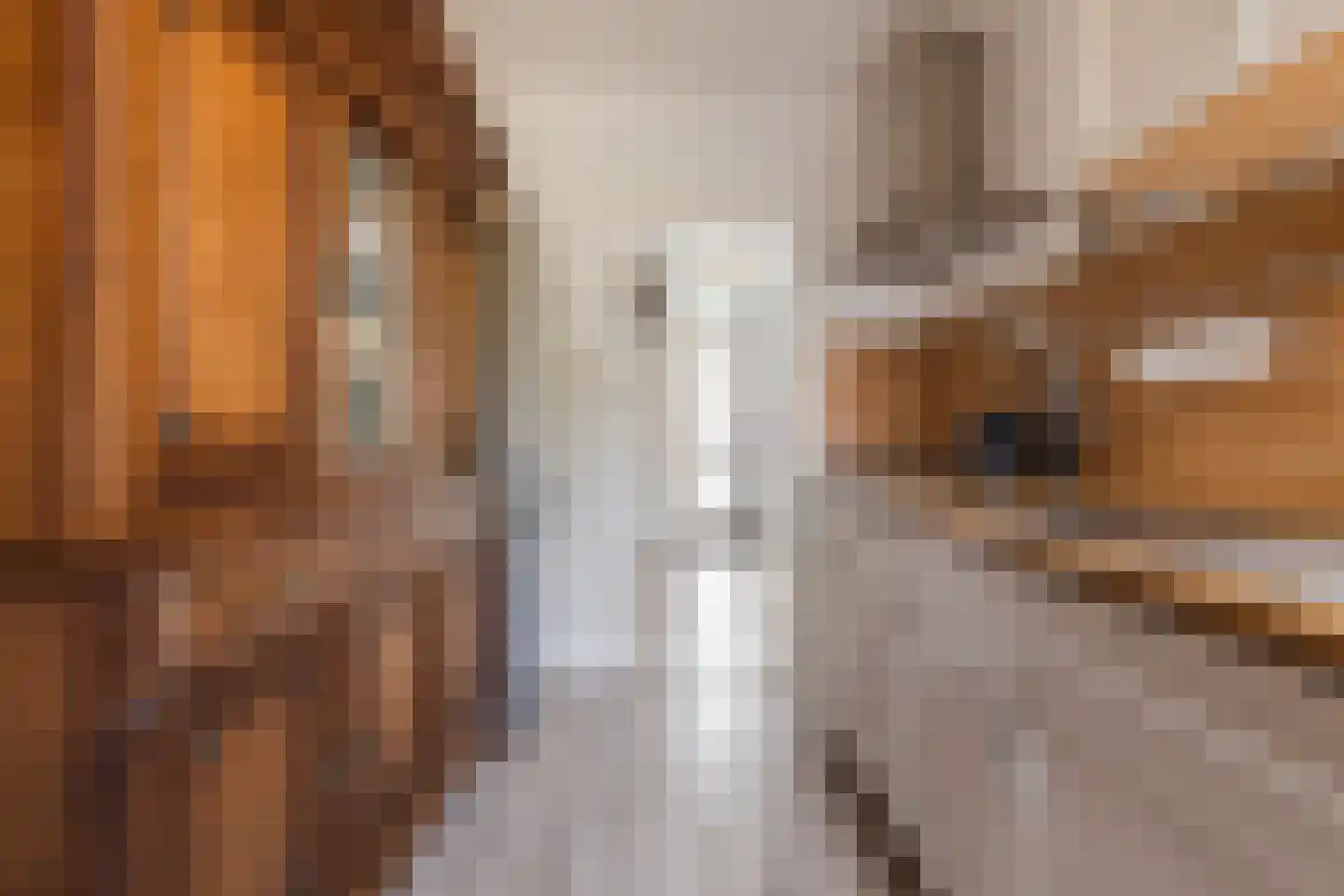 Kerkstraat 6 Munnekezijl thumbnail 21