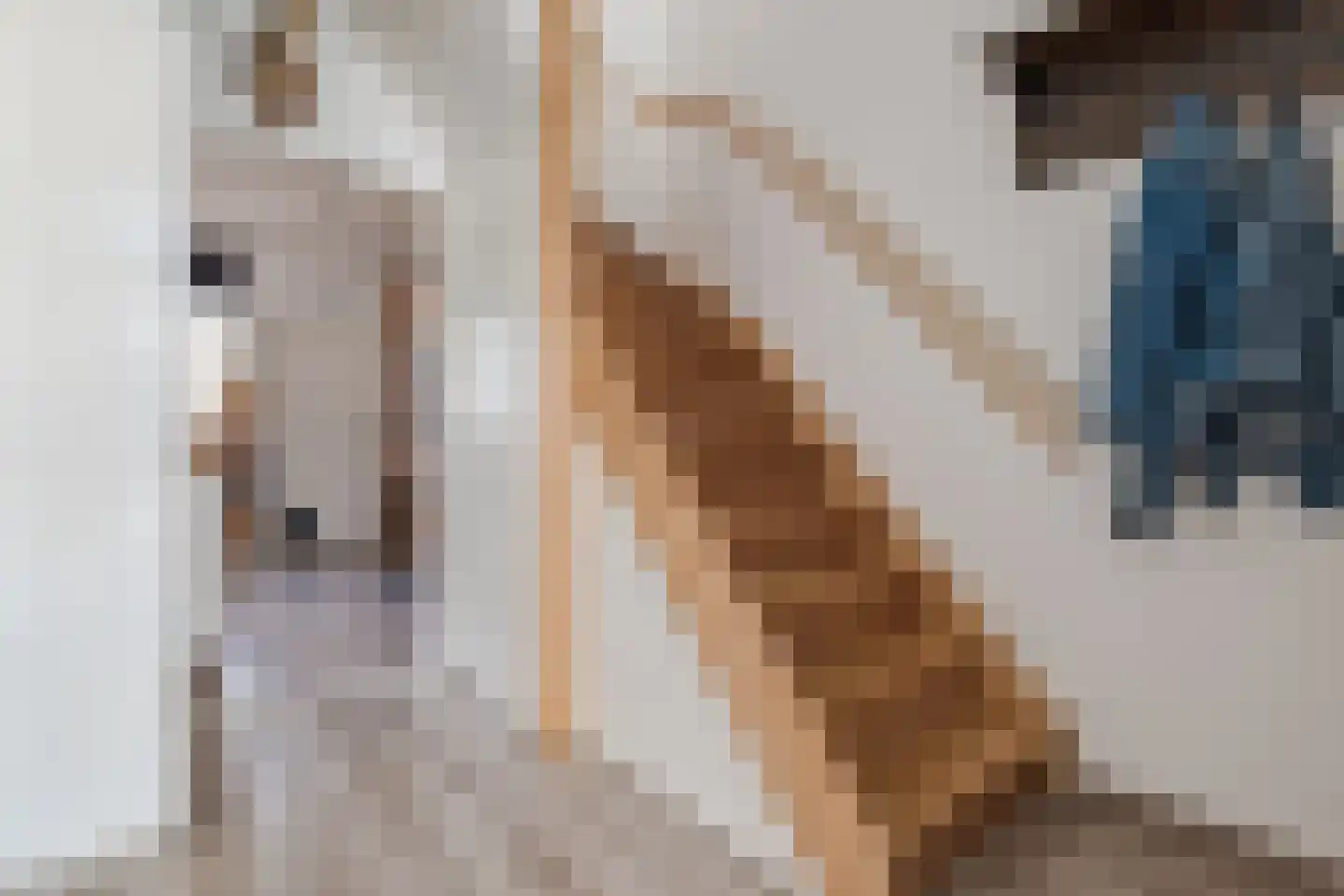 Kerkstraat 6 Munnekezijl thumbnail 7