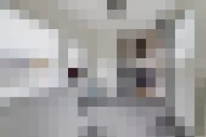 Kerkstraat 6 Noordeloos thumbnail 13