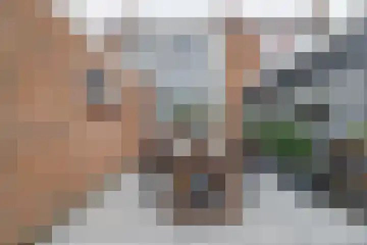 Kerkstraat 6 Noordeloos thumbnail 30