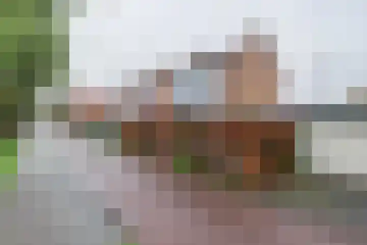 Kerkstraat 6 Noordeloos thumbnail 33