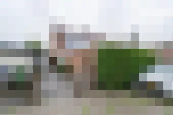 Kerkstraat 6 Noordeloos thumbnail 4