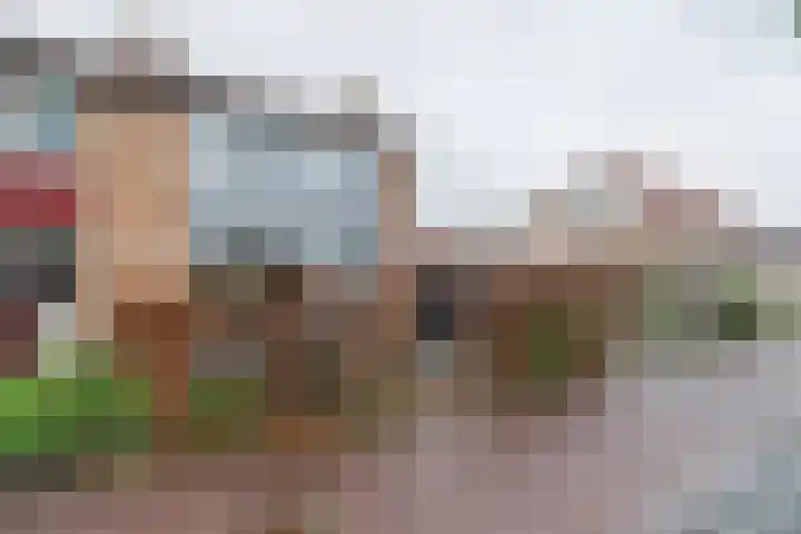 Kerkstraat 6 Noordeloos thumbnail 5
