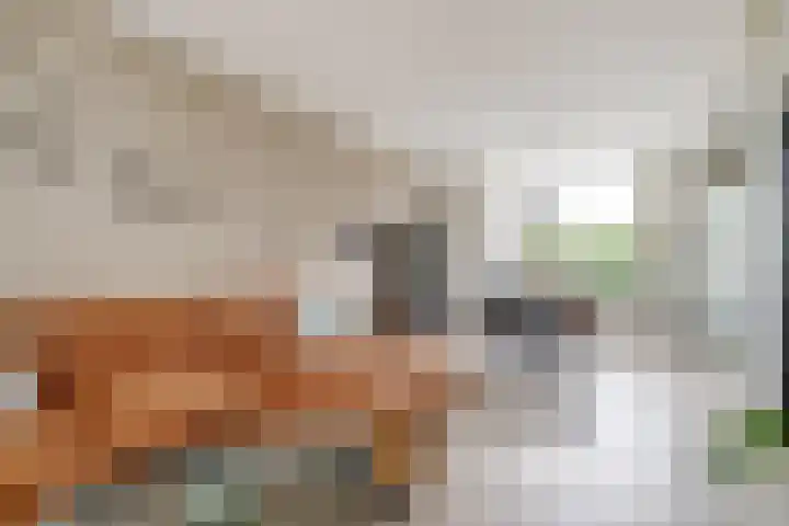 Kerkstraat 6 Noordeloos thumbnail 6