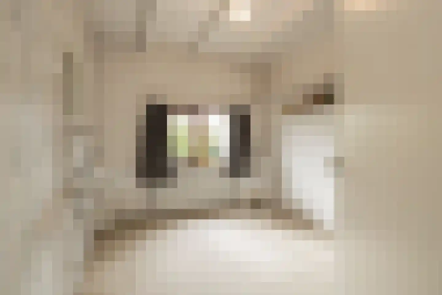 Kerkstraat 6 Noordwijkerhout thumbnail 43
