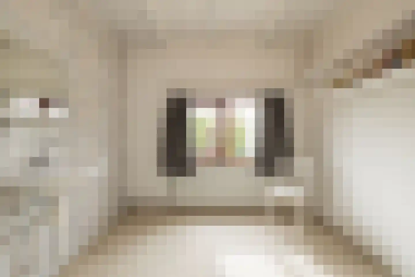 Kerkstraat 6 Noordwijkerhout thumbnail 44