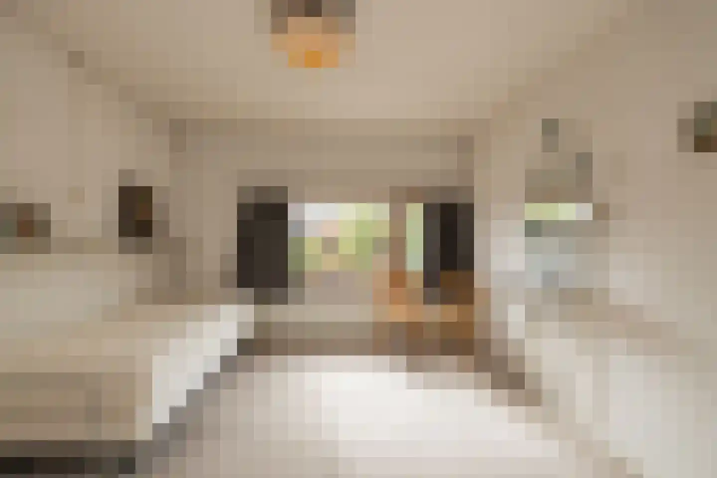 Kerkstraat 6 Noordwijkerhout thumbnail 47