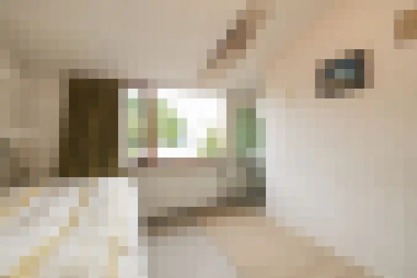 Kerkstraat 6 Noordwijkerhout thumbnail 52