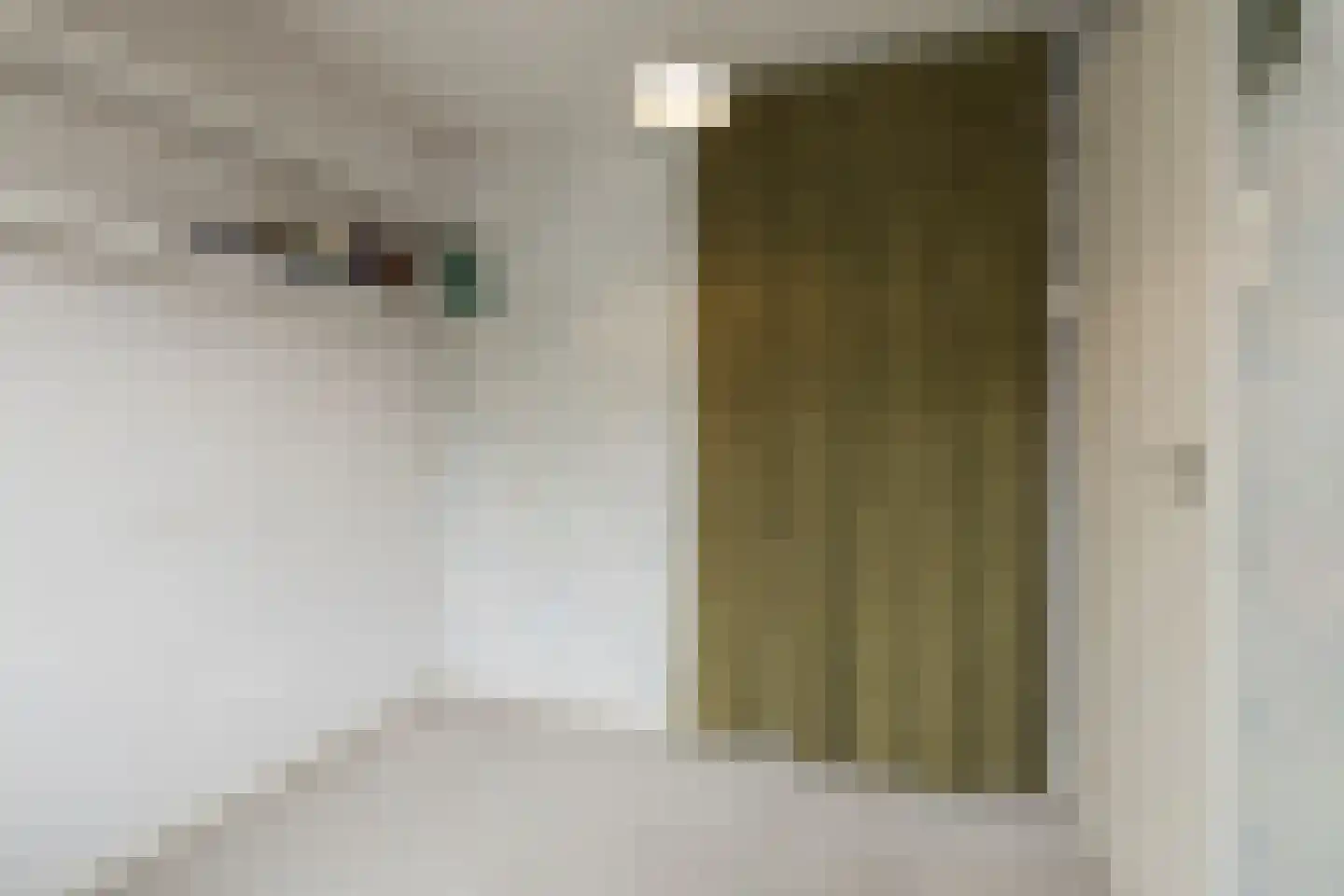 Kerkstraat 6 Noordwijkerhout thumbnail 56