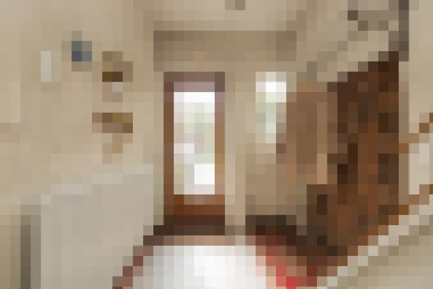 Kerkstraat 6 Noordwijkerhout thumbnail 7