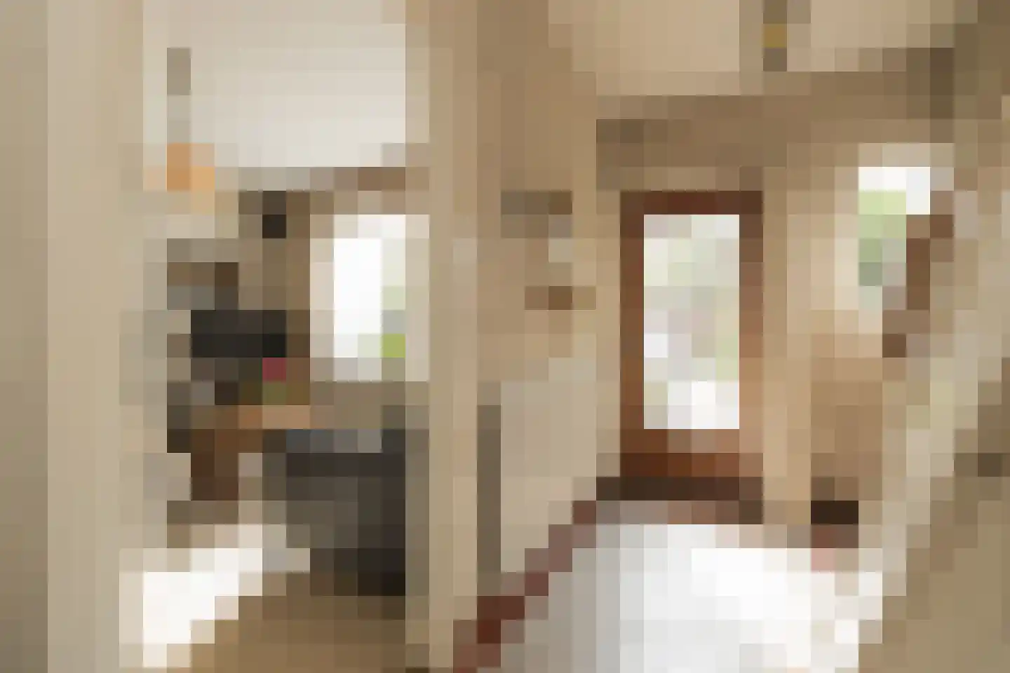 Kerkstraat 6 Noordwijkerhout thumbnail 9