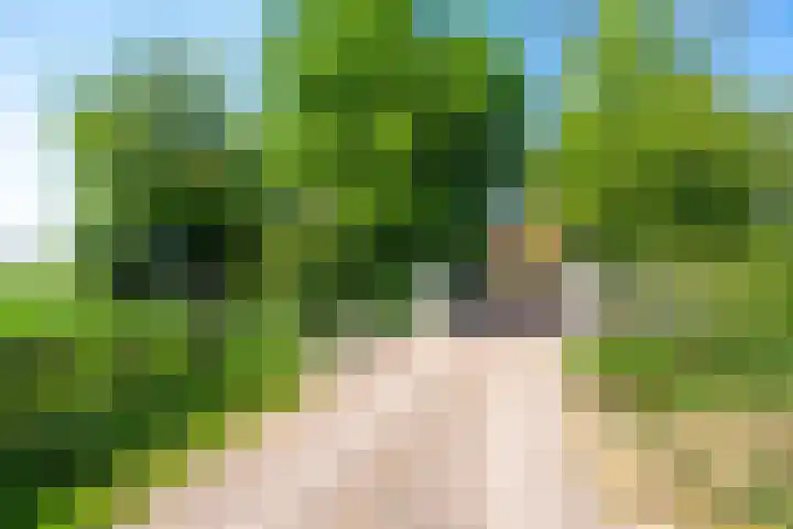 Kerkstraat 6 Schalsum thumbnail 11
