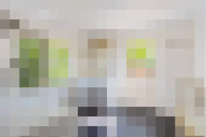 Kerkstraat 6 Schalsum thumbnail 31