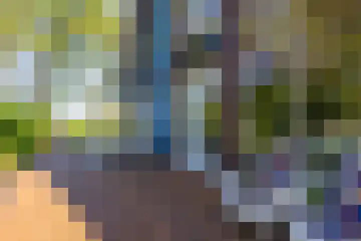 Kerkstraat 6 Schalsum thumbnail 33