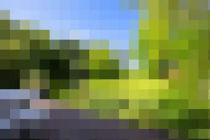 Kerkstraat 6 Schalsum thumbnail 34