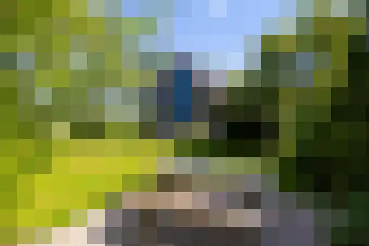 Kerkstraat 6 Schalsum thumbnail 35