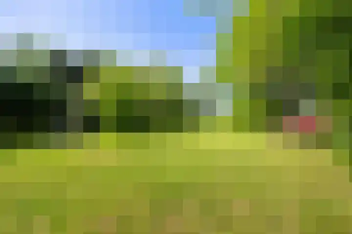 Kerkstraat 6 Schalsum thumbnail 36