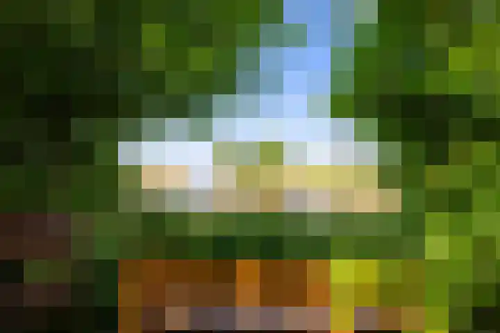 Kerkstraat 6 Schalsum thumbnail 38