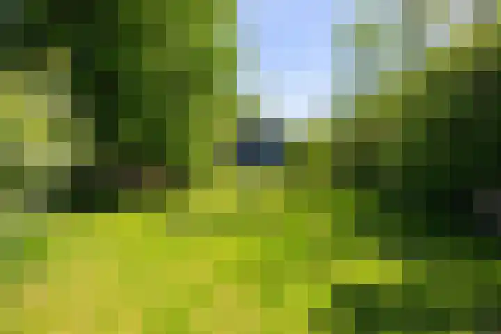 Kerkstraat 6 Schalsum thumbnail 39