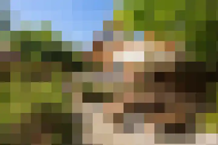 Kerkstraat 6 Schalsum thumbnail 43