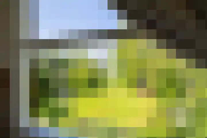 Kerkstraat 6 Schalsum thumbnail 57