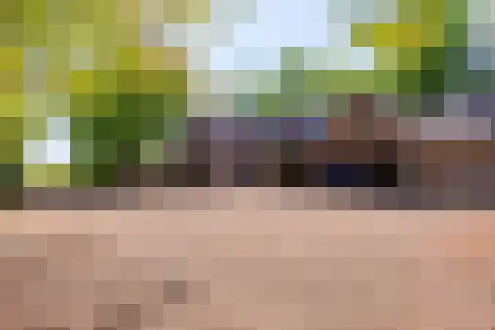 Kerkstraat 6 Schalsum thumbnail 62
