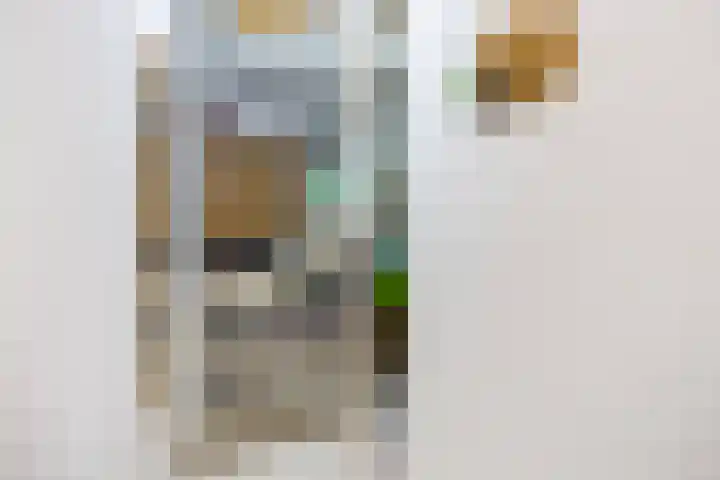 Kerkstraat 6 Schalsum thumbnail 67