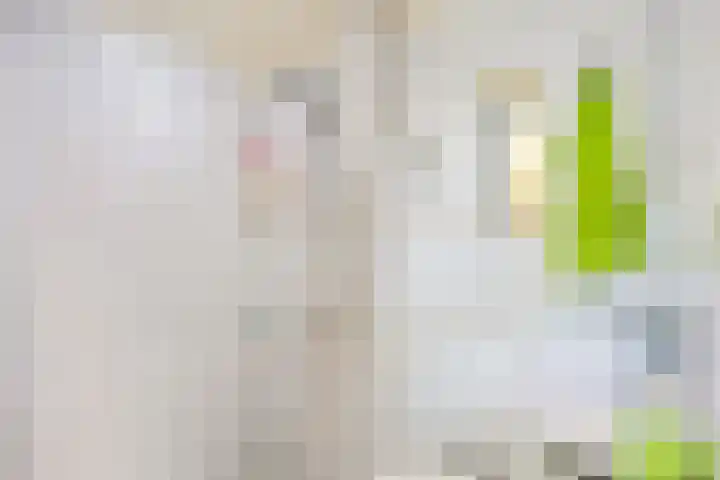 Kerkstraat 6 Schalsum thumbnail 68