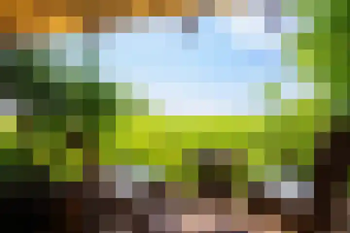 Kerkstraat 6 Schalsum thumbnail 7