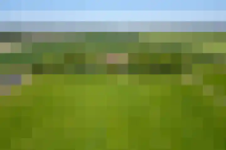Kerkstraat 6 Schalsum thumbnail 81