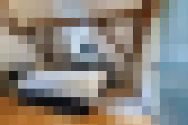 Kerkstraat 6 Sprang-Capelle thumbnail 26