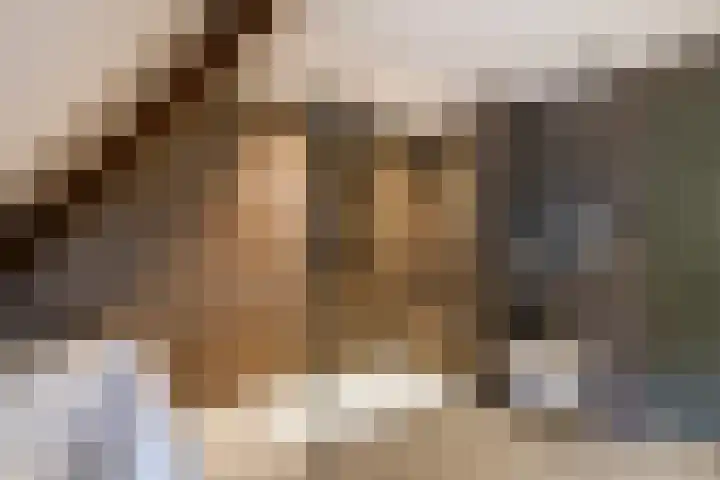 Kerkstraat 6 Sprang-Capelle thumbnail 31